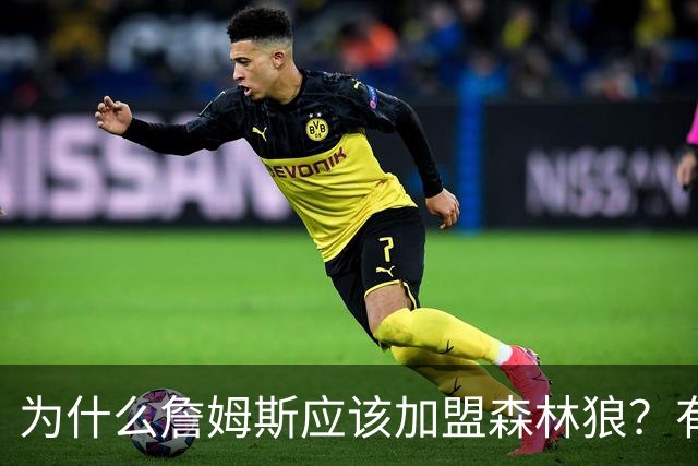 为什么詹姆斯应该加盟森林狼？有实力但非顶级队 不会被说走捷径