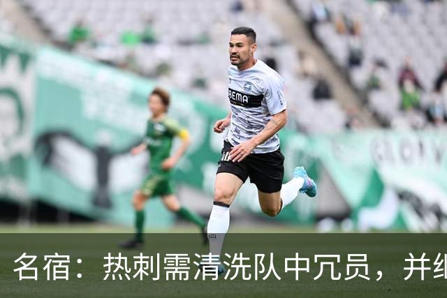 名宿：热刺需清洗队中冗员，并继续引援支持德泽尔比建队