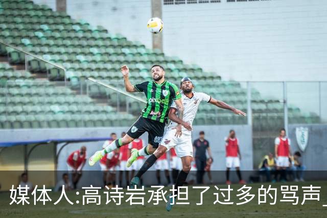 媒体人:高诗岩承担了过多的骂声 下一个被骂的是谁？