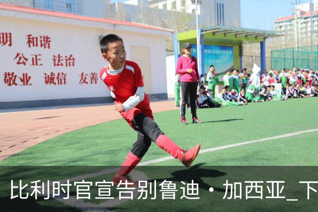 比利时官宣告别鲁迪·加西亚 下一任主帅是荷兰人？
